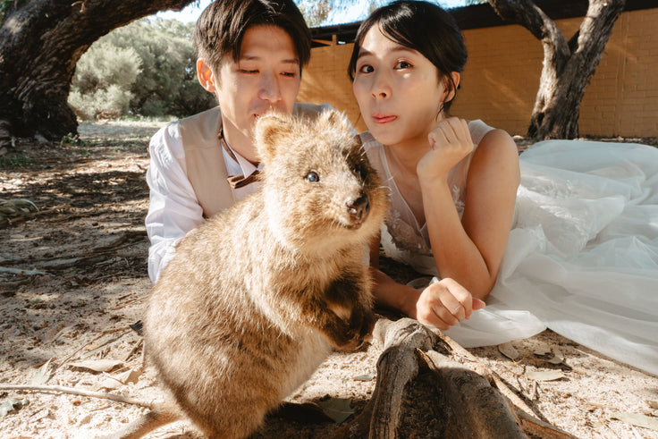 ロットネスト島（ロング）